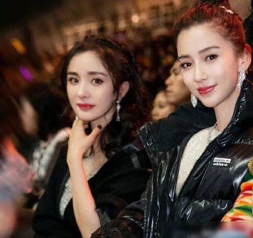 刘亦菲爆料帖吧最新消息,揭秘帖吧热议背后的真相  第3张